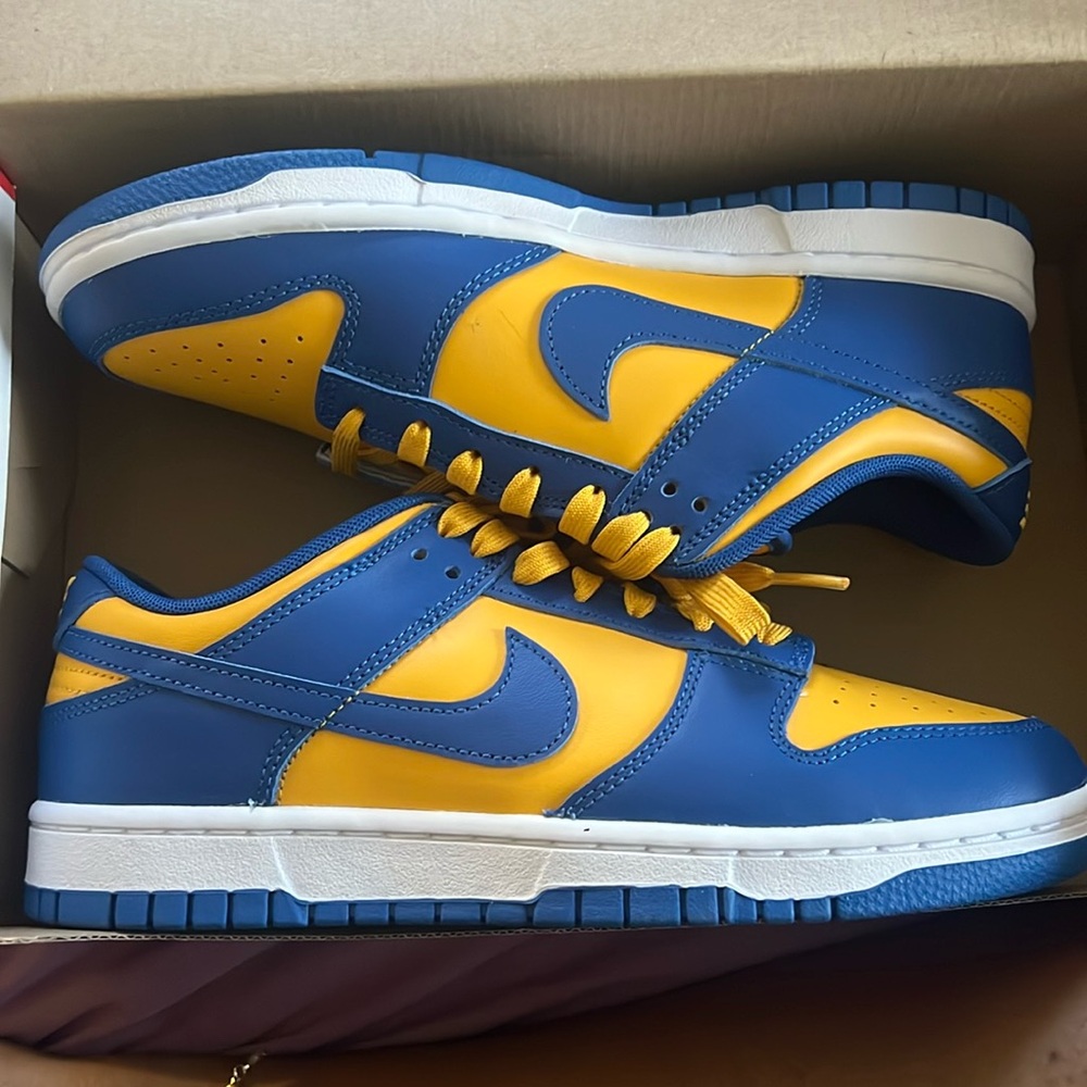 Nike Blue Jay Dunks
